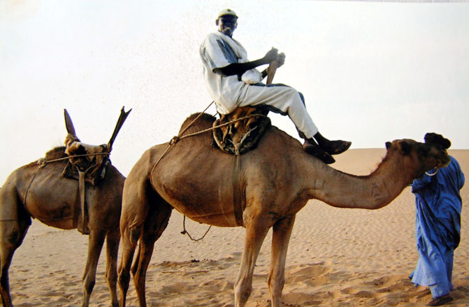 Riding a camel