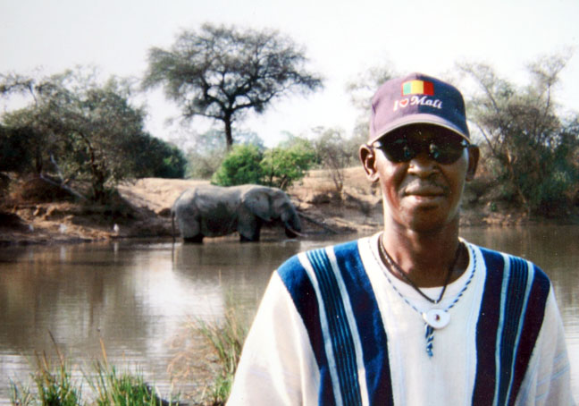 Elephant in the River