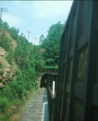 Freight Train Ride