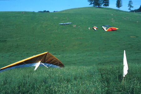 Clover Hollow Training