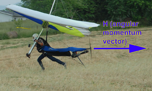 Angular Momentum Vector on Glider