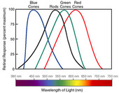 Color Perception